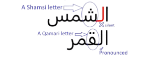 online tajweed course for kids